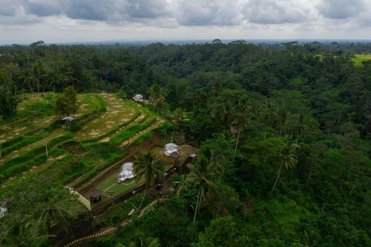 Bubble Hotel Ubud Payangan Exterior foto