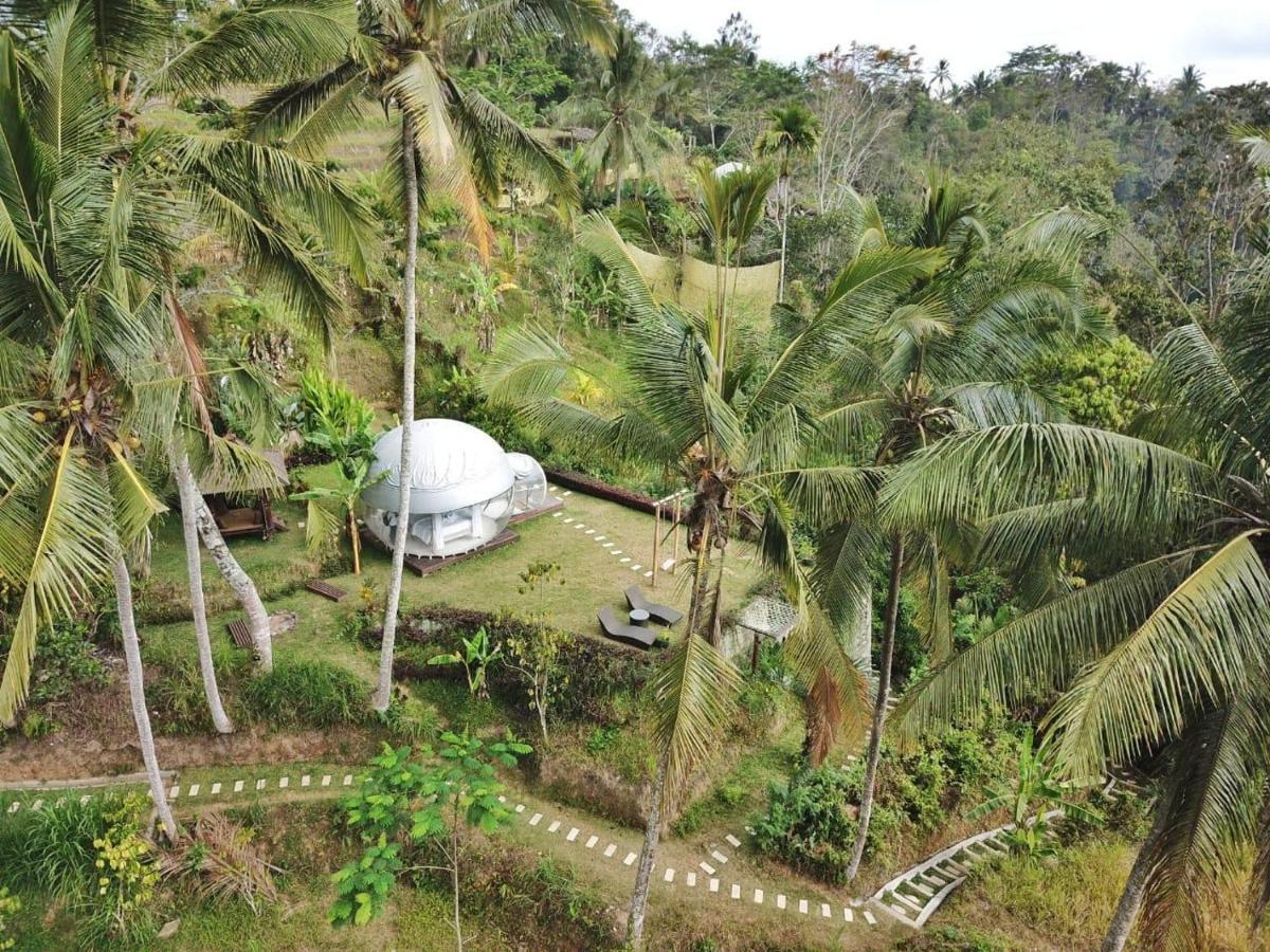 Bubble Hotel Ubud Payangan Exterior foto